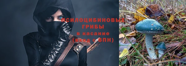 Альфа ПВП Каменка