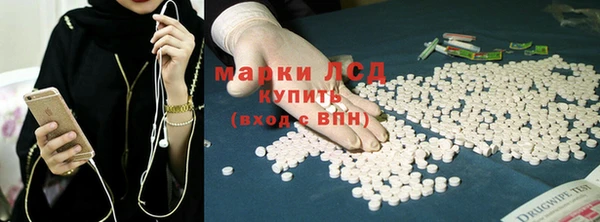 Альфа ПВП Каменка