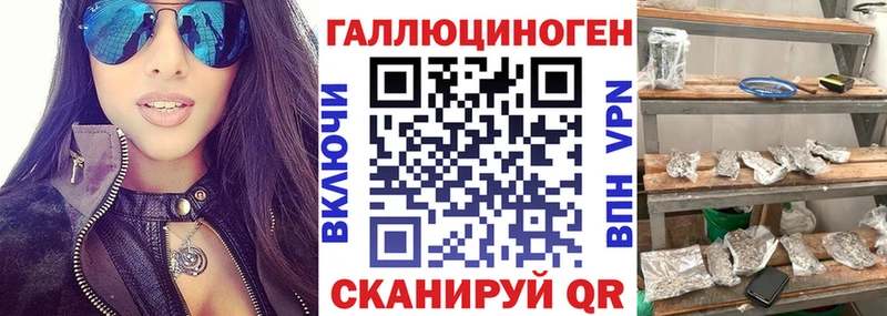 Купить где  Малая Вишера  Галлюциногенные грибы Psilocybe 